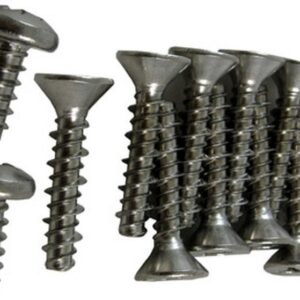 ACM19300 Set of S/S screws (BUL-62-1)